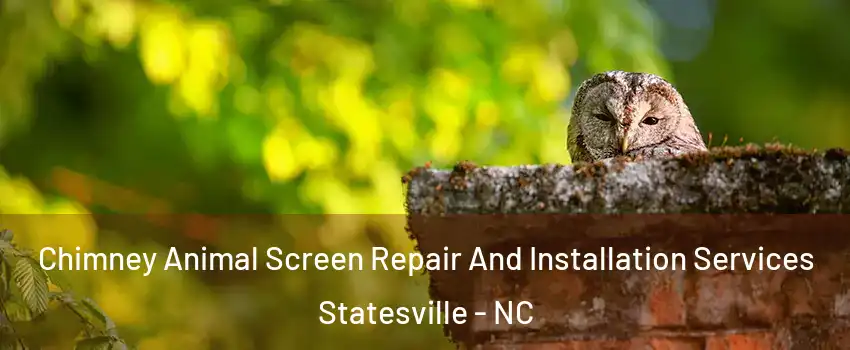  Chimney Animal Screen Repair And Installation Services Statesville - NC