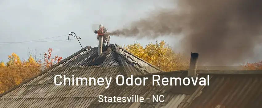  Chimney Odor Removal Statesville - NC