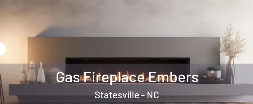  Gas Fireplace Embers Statesville - NC