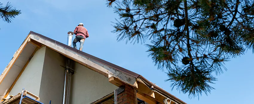 Birds Removal Contractors from Chimney in Statesville, NC