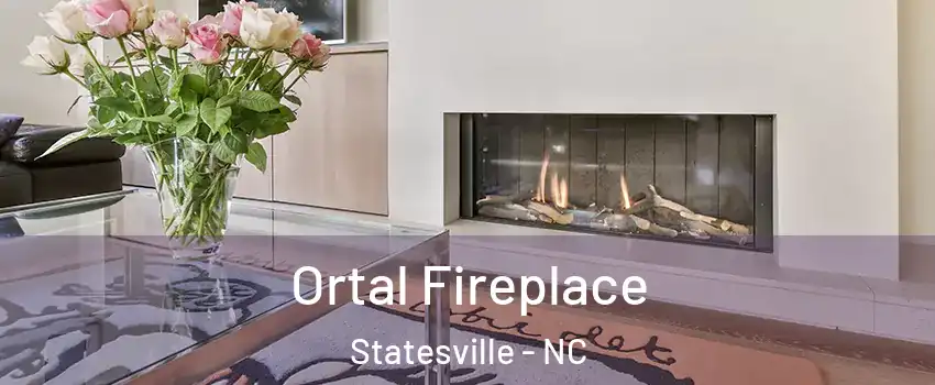 Ortal Fireplace Statesville - NC